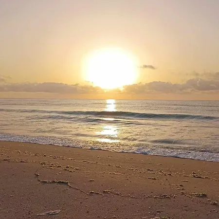 в Oasis Kamchia -the Favourite Blue Apartment