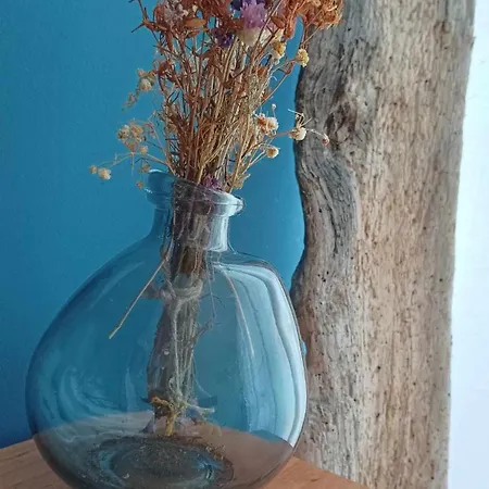 Appartamento в Oasis Kamchia -the Favourite Blue Bliznatsi