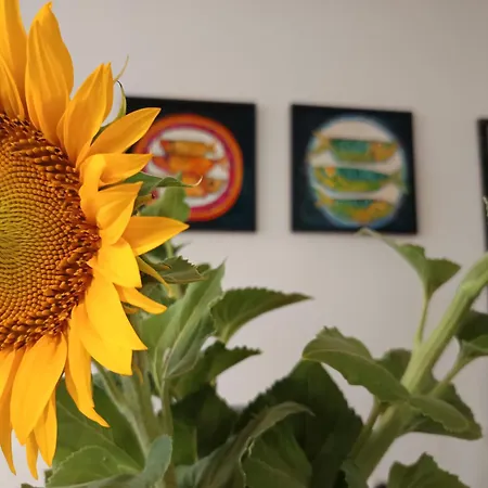 Apartment в Oasis Kamchia -the Favourite Blue *