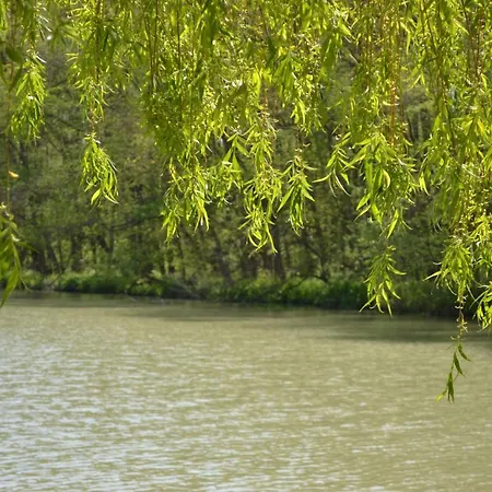 в Oasis Kamchia -the Favourite Blue Апартаменты