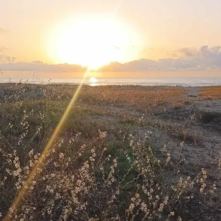 в Oasis Kamchia - най-любимото синьо アパート Bliznatsi