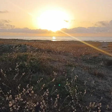 в Oasis Kamchia - най-любимото синьо *